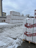 Газобетон БОРСКИЙ D500 B2.5 600х300х250